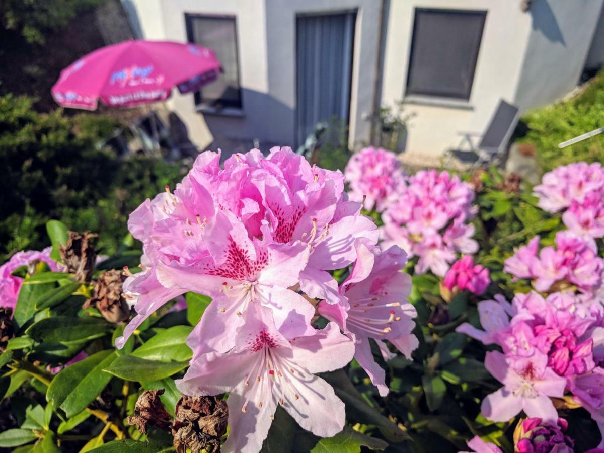 Ferienwohnung Mit Terrasse Grimma Bagian luar foto